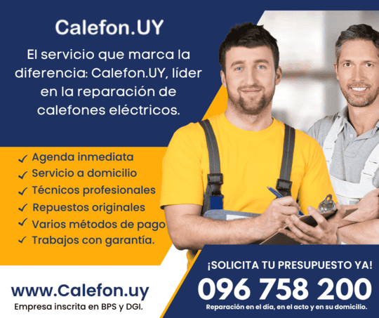 Técnico profesional de Calefon.UY revisando un calefón en domicilio.